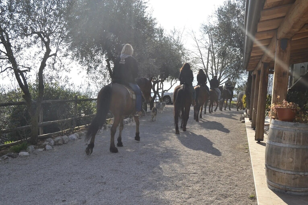 Agriturismo Scuderia Castello