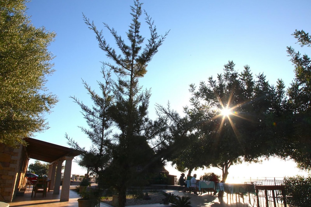 Villa Maria Caterina photo 5