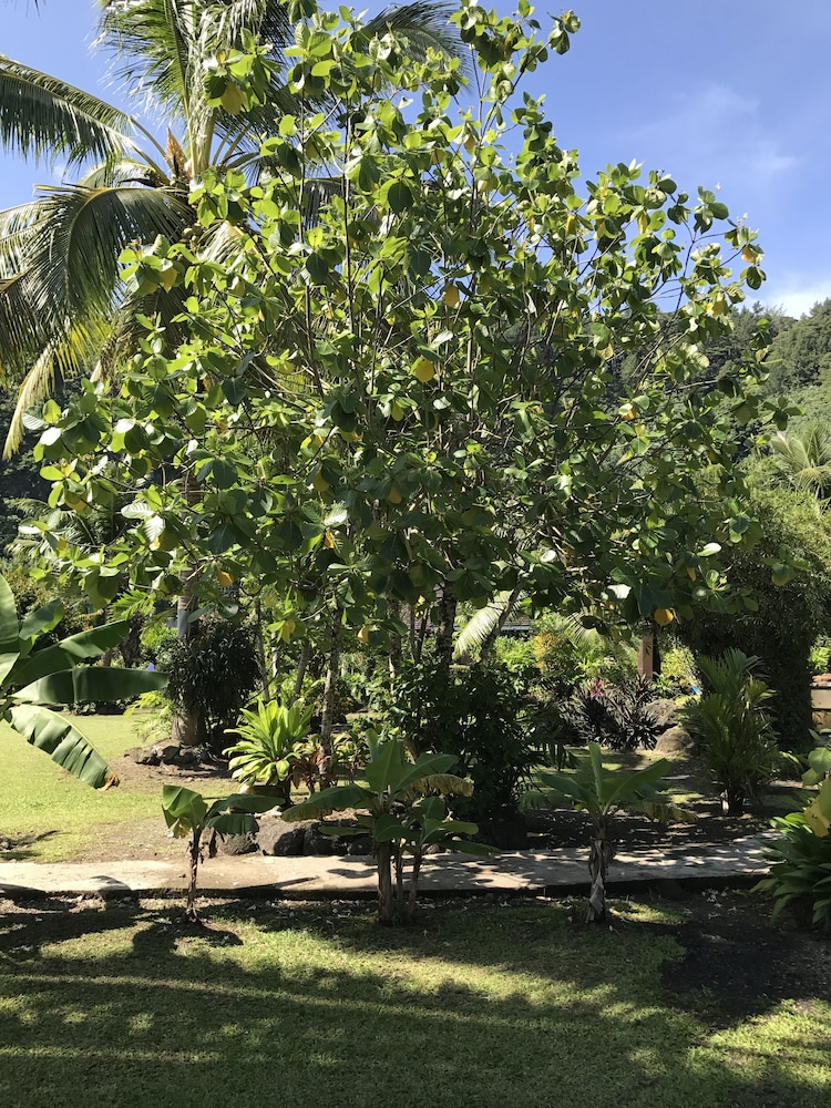Punatea Village