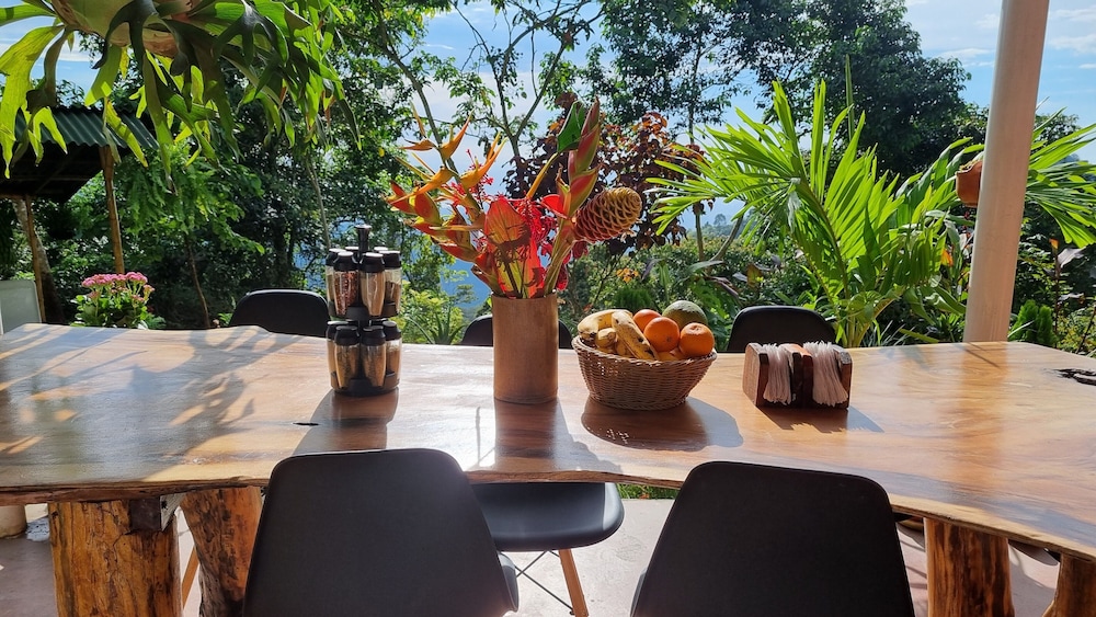Minca Sintropia Organic Coffee Finca
