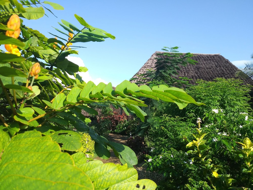 Kiwengwa Vacations - Marafiki Bungalows - Property Image 125