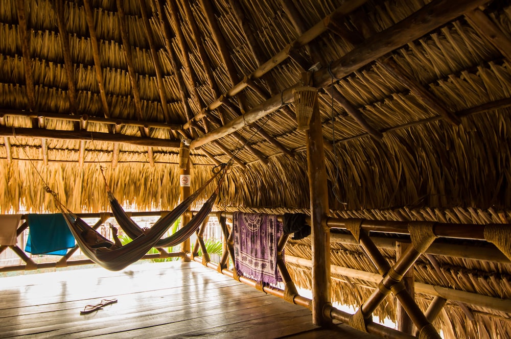 Prima Luna Palomino - Property Image 67