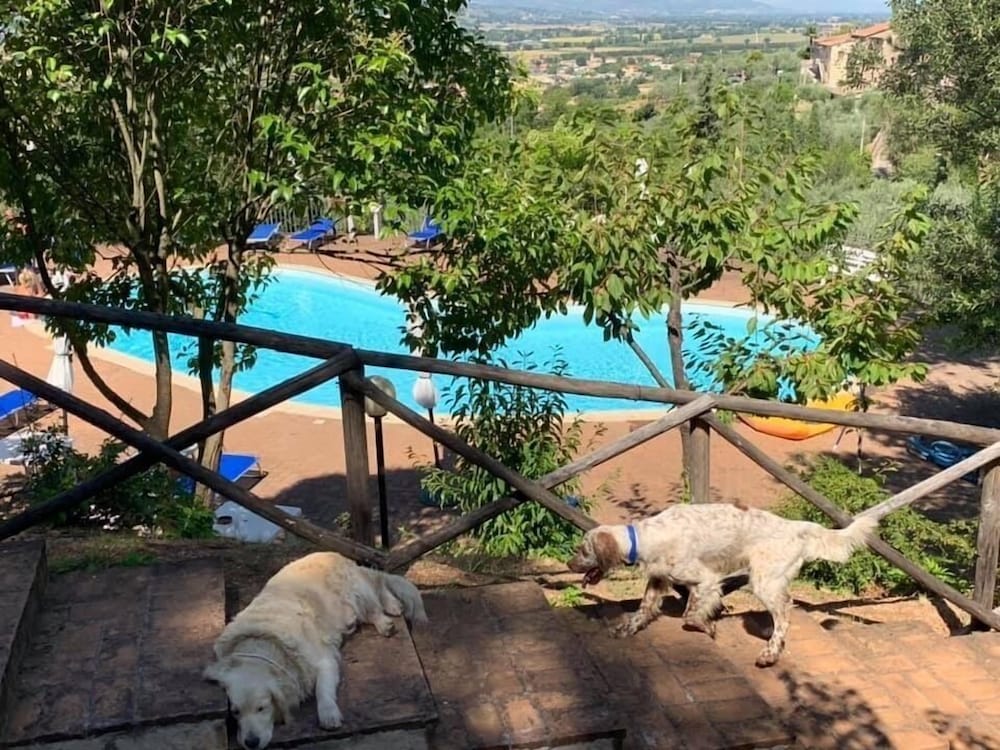 Setter House Agri Hotel
