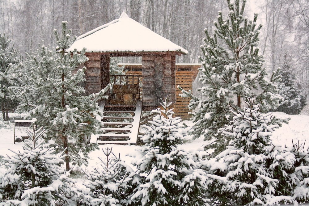 Cottage complex Ozerny Bereg