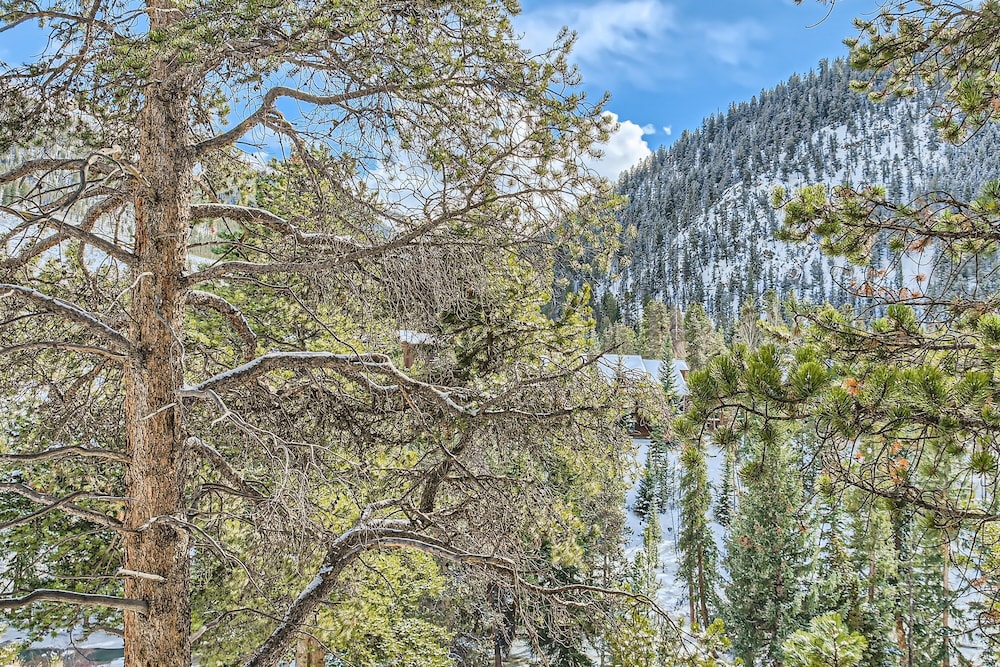 The Pines - Keystone Ski Resort CO Vacation Lodging