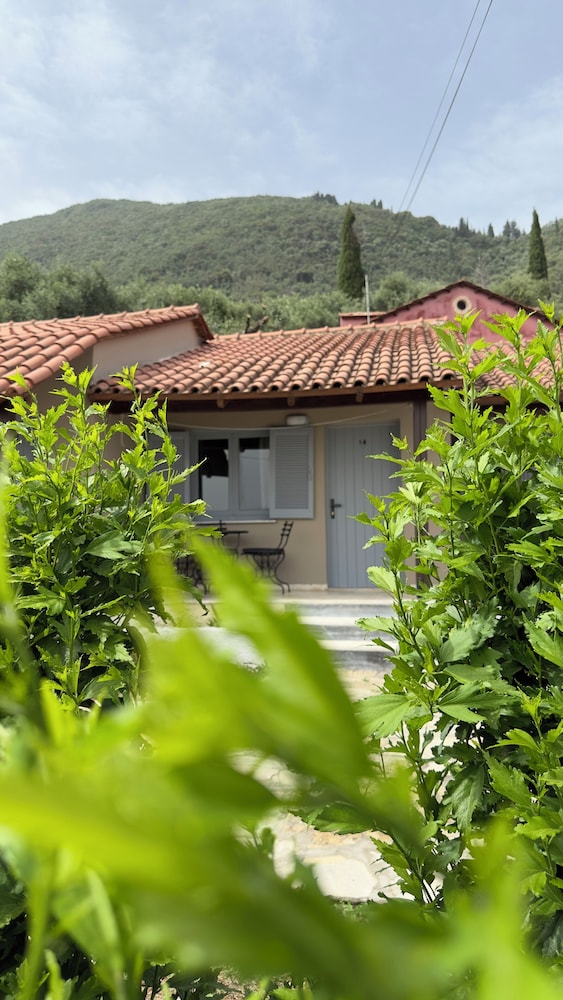 Olga's Sea View Studios -500m from Ipsos