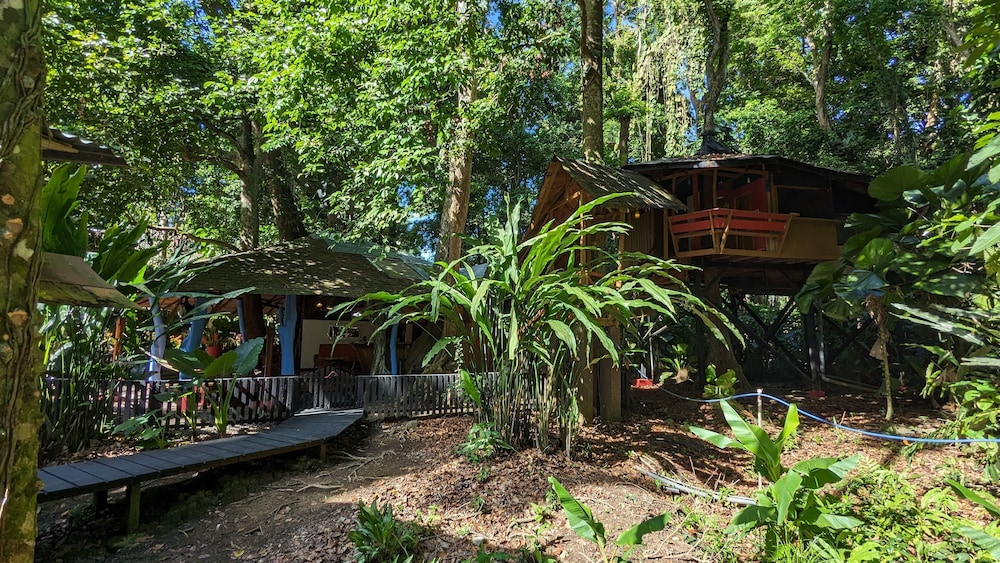 Tree House Beachfront Lodge