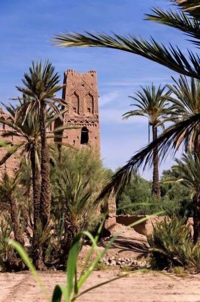 Auberge Kasbah Tiriguioute