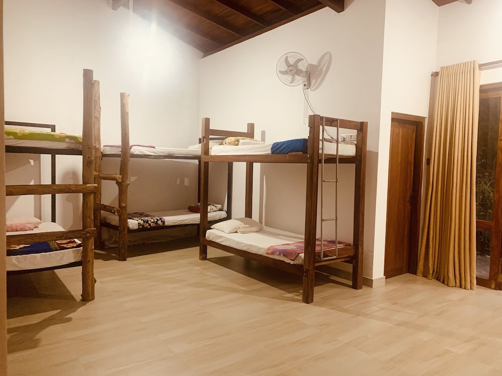 Jungle City Hostel view 3