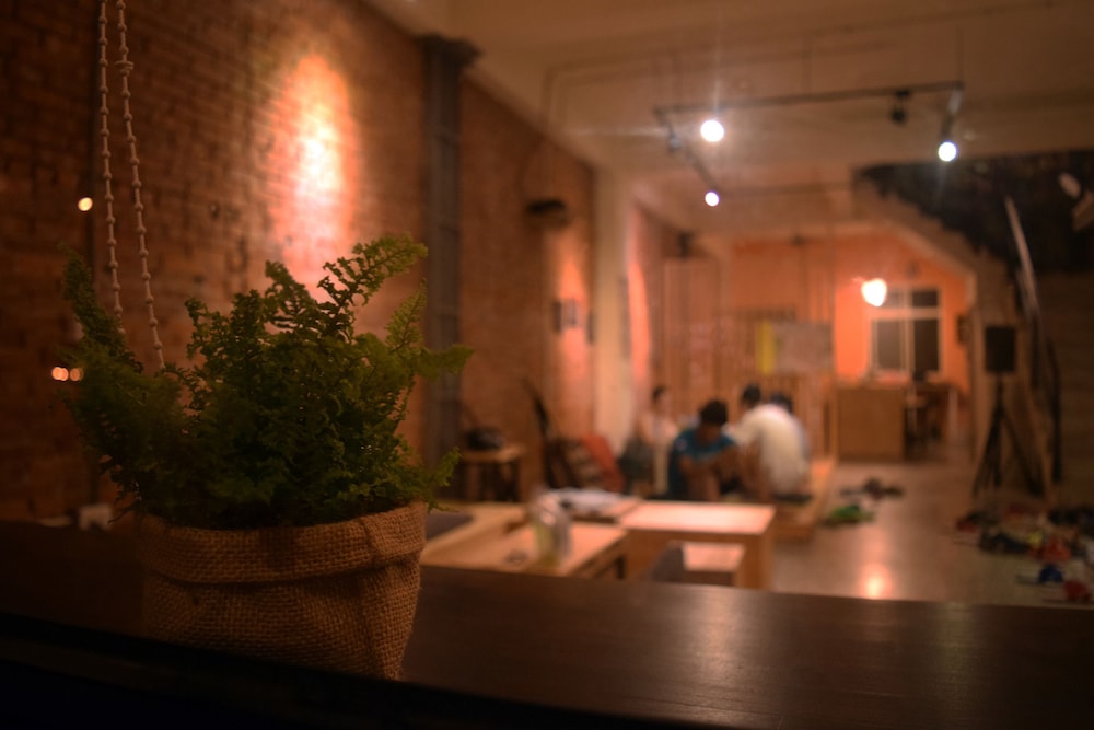 Lane62 Hostel