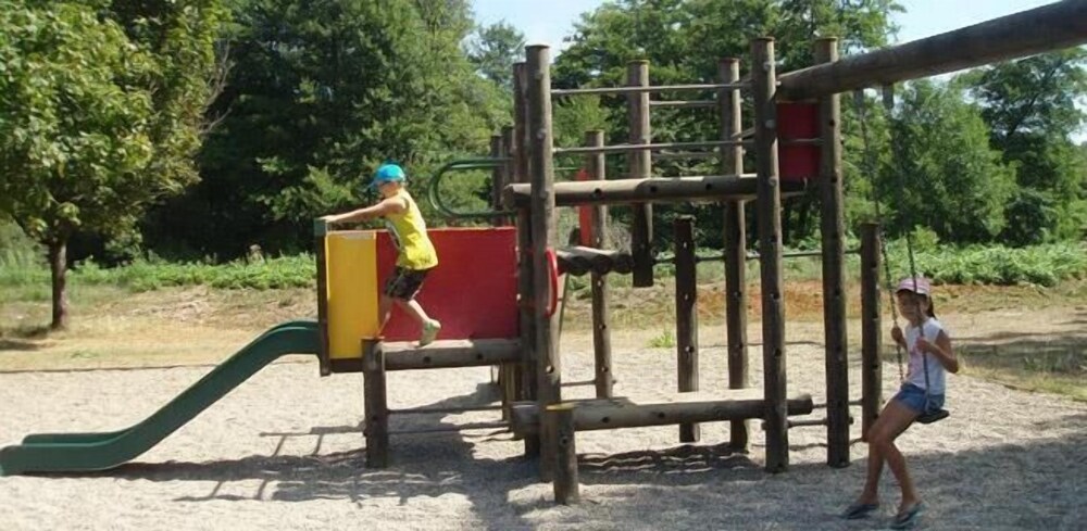 Photo 50