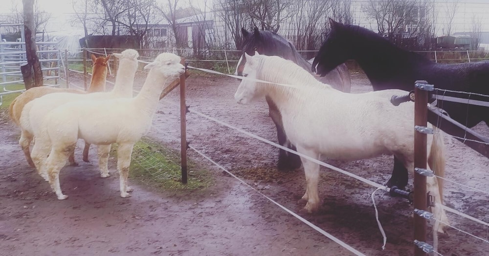 Naturhof Usedom