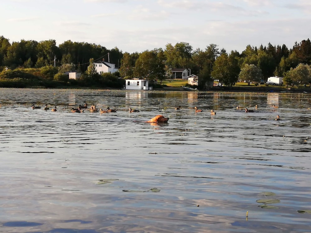 Photo 44