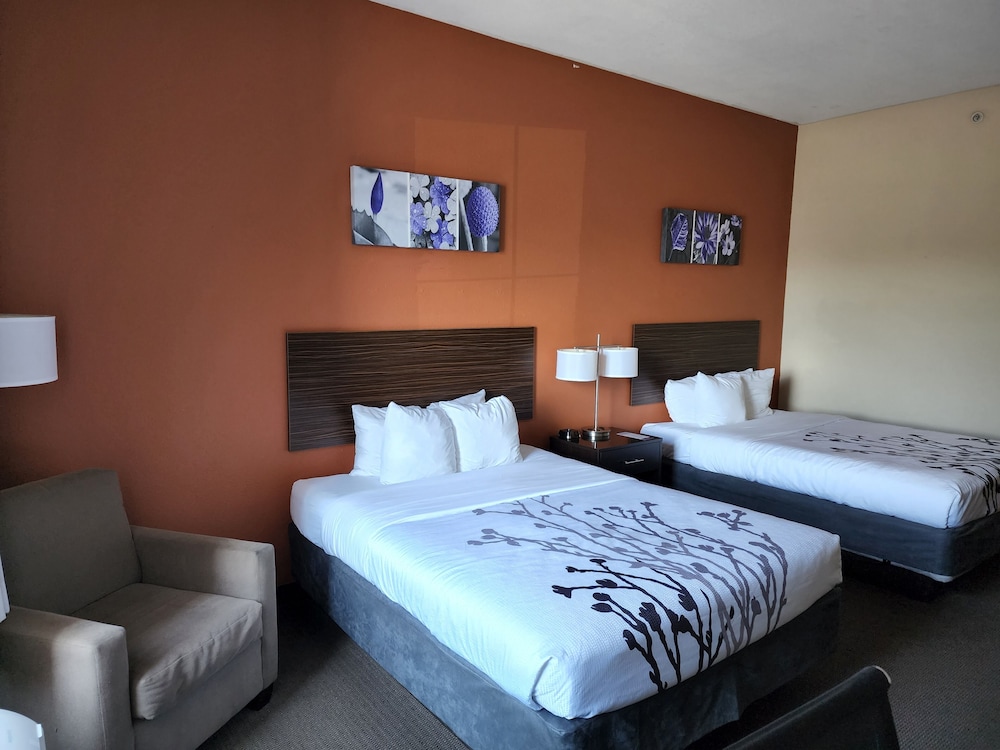 Dyersburg Vacations - Sleep Inn  Suites Dyersburg I-155 - Property Image 38