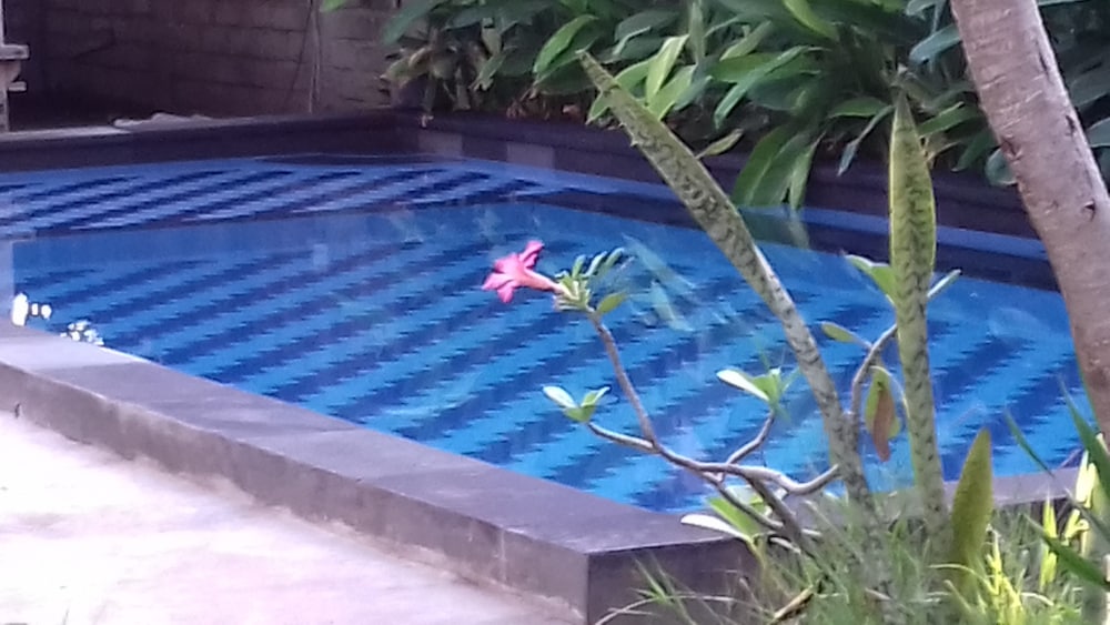 Diyu Bungalow