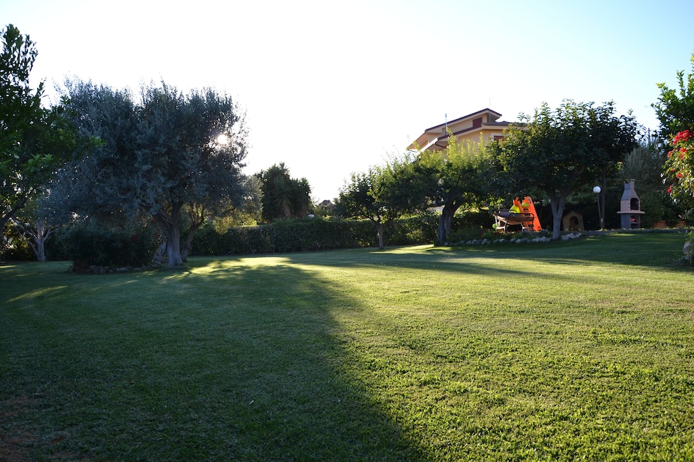 Photo 61