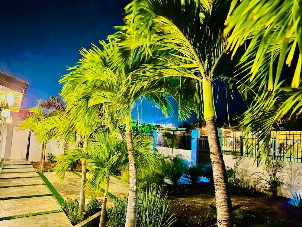 Eagle Stays Aruba