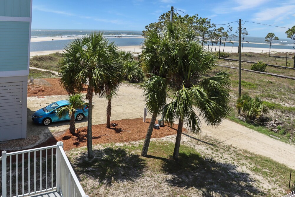 Palmetto Breeze