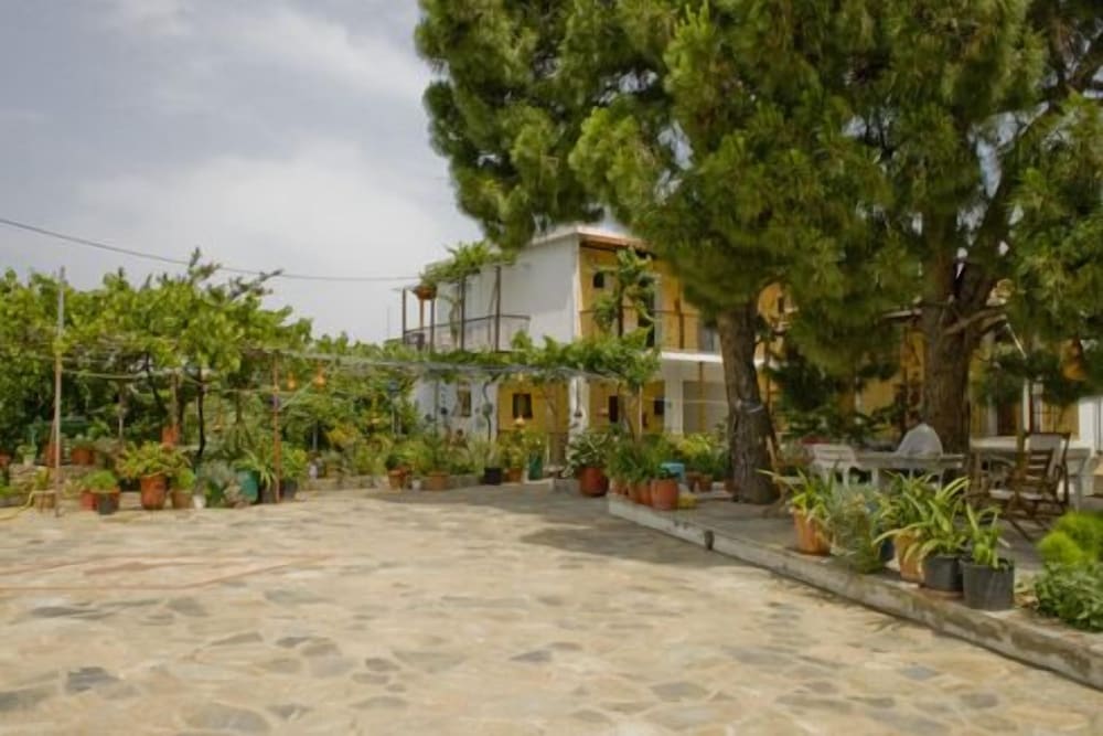 Photo 33