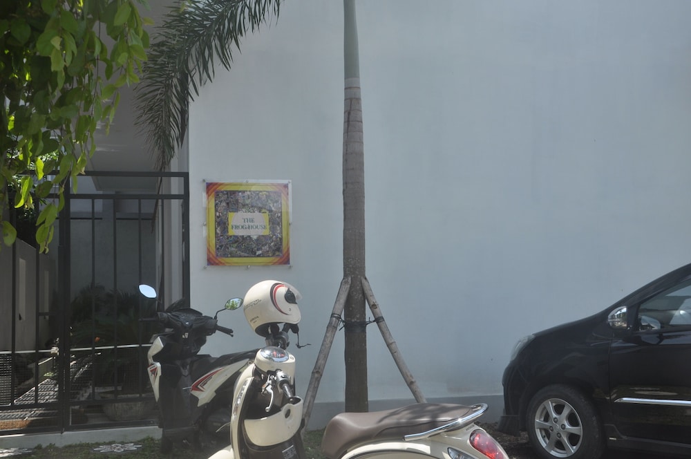 Photo 41