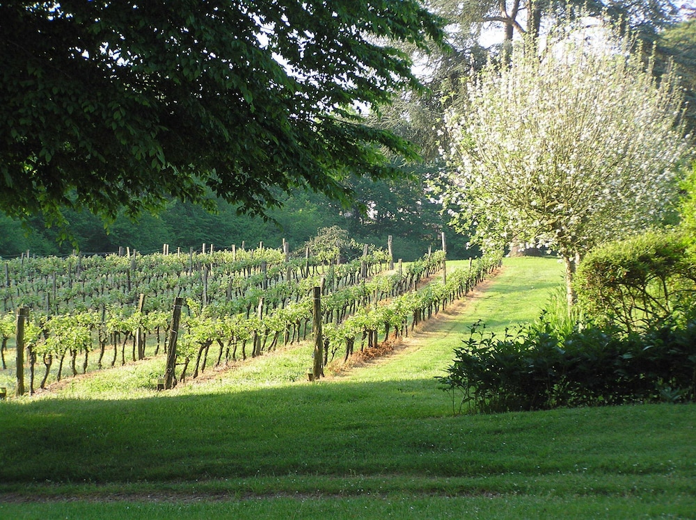 Chateau Valcreuse