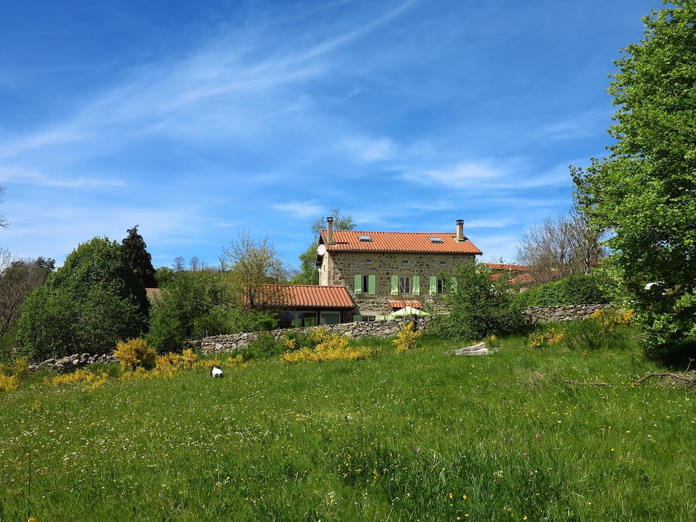 Photo 31