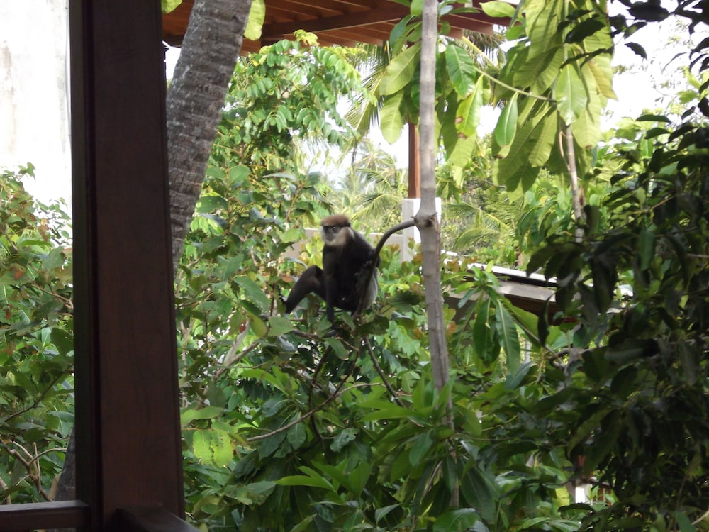 Lanka Eco Village