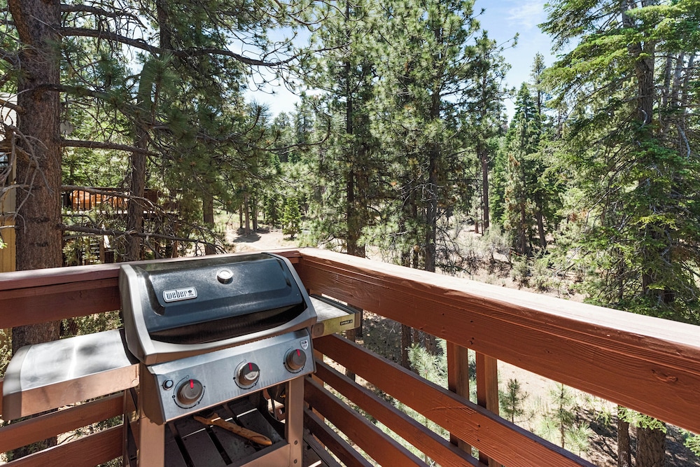 Bear Mountain Cabin view 2