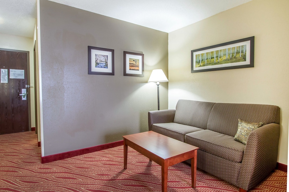 Comfort Inn Poplar Bluff North view 3