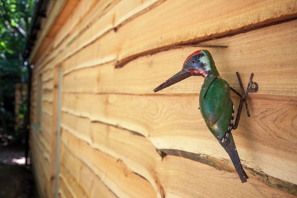 Hayne Barn Estate - Private Estate : 6 Eco Lodges - 1 Studio
