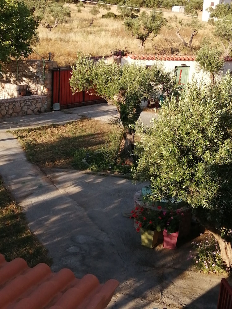 Photo 16