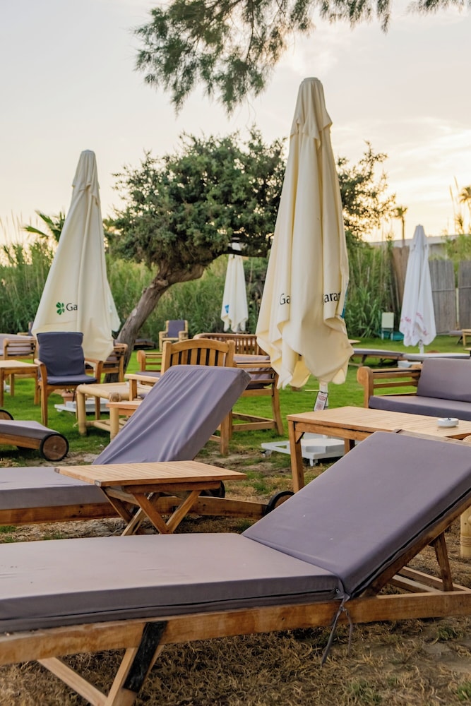 lilium rooms
