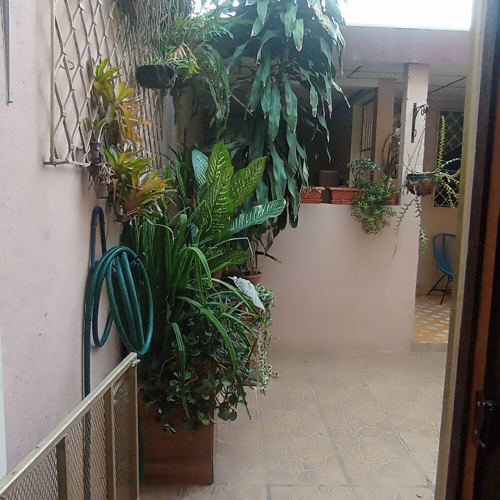 Mountain View hostel