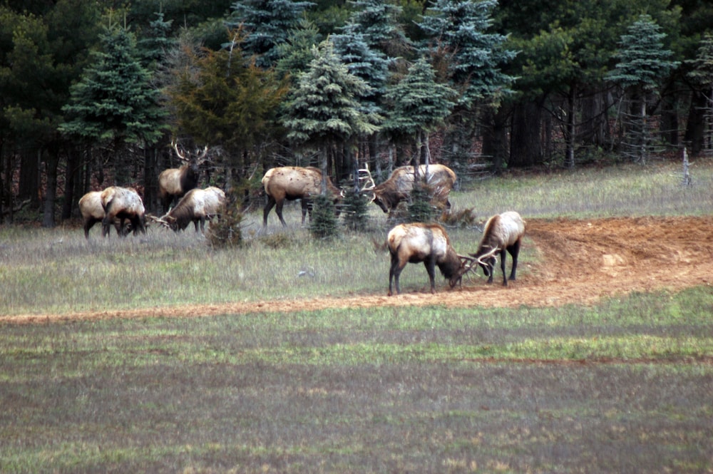 Edenwood Ranch Private SQ MILE view 4