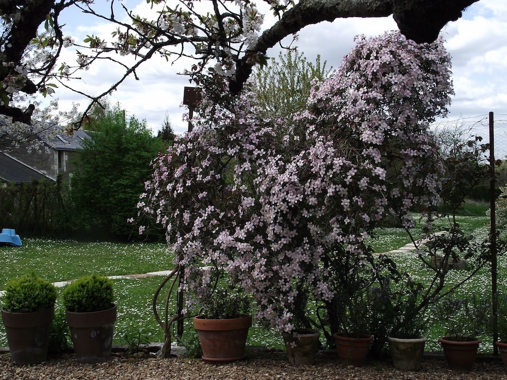 Chambre d’hôtes Le Vaujoint view 2