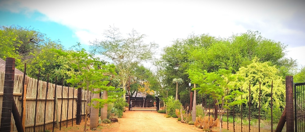 VIVO LODGE
