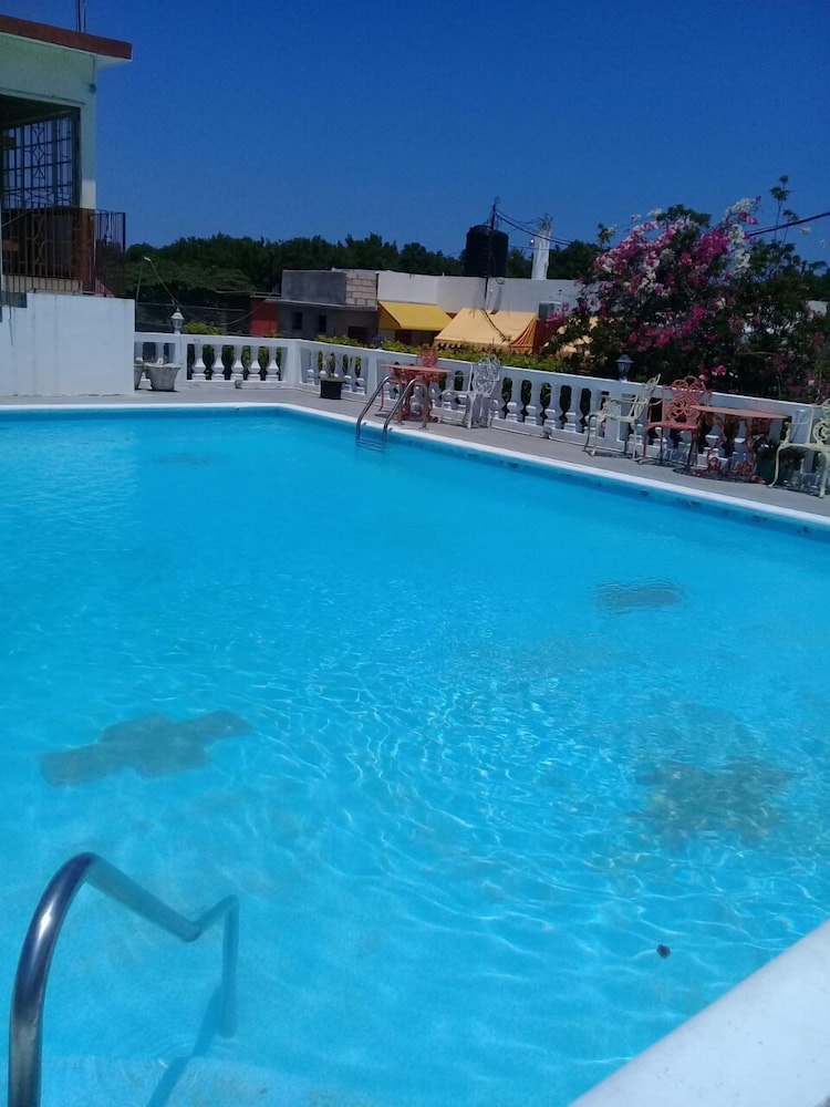 Palm Tree Guest House