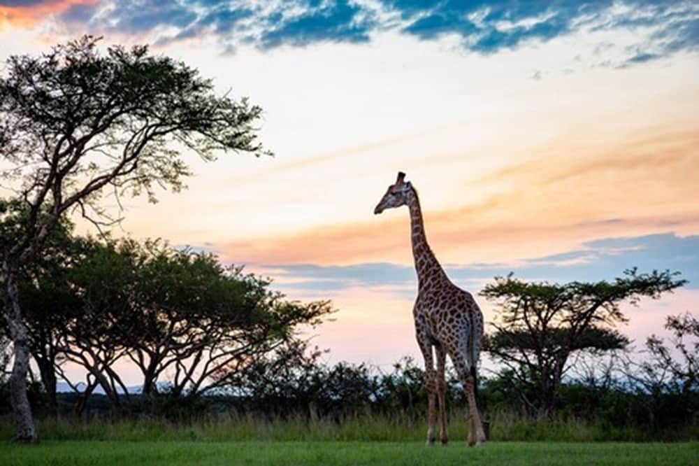 Muluwa Lodge