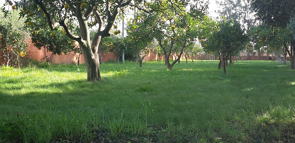 Photo 46