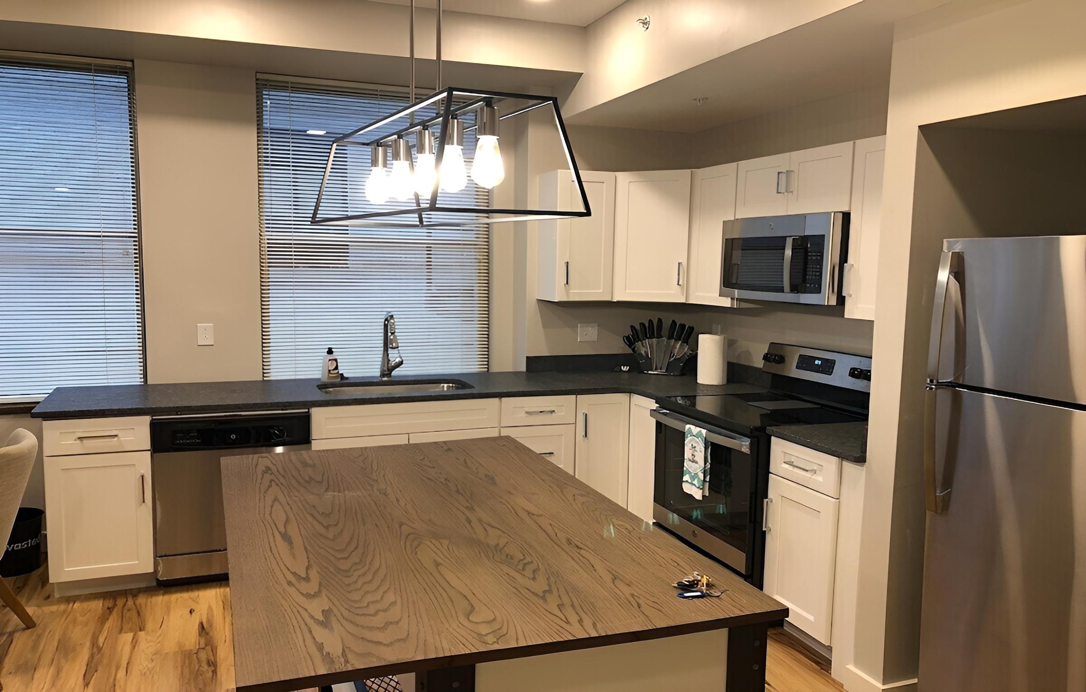 205 New Downtown Living view 5