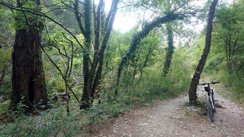 Photo 8