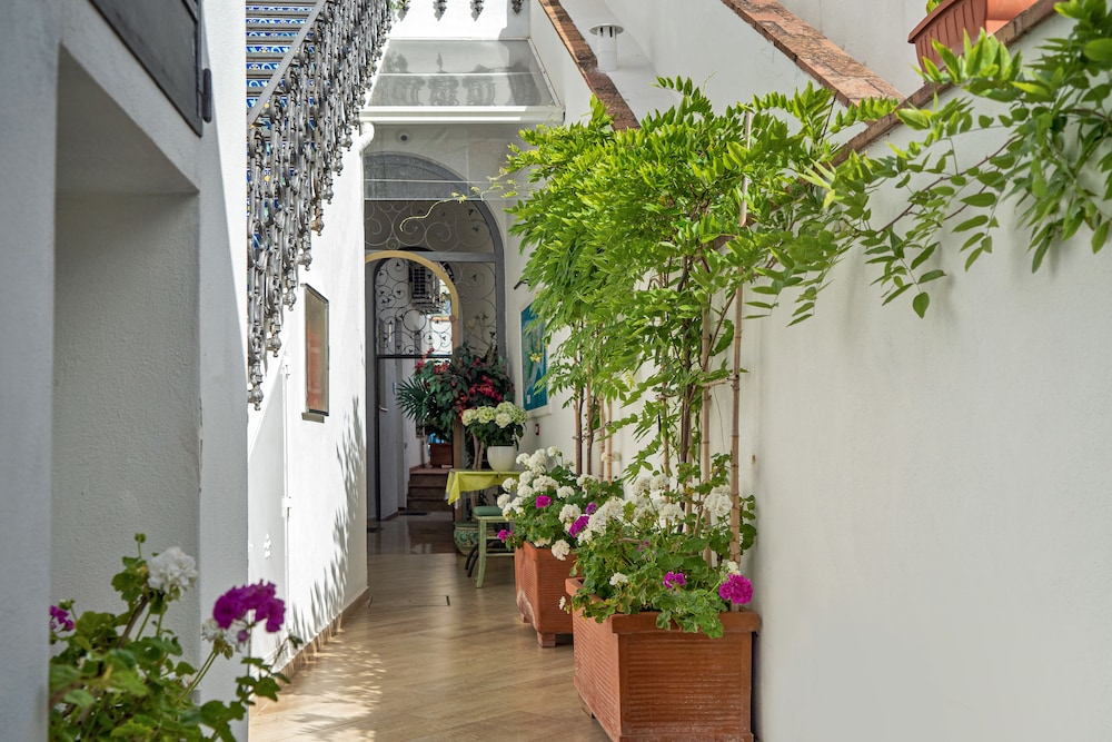 Capri Dreaming