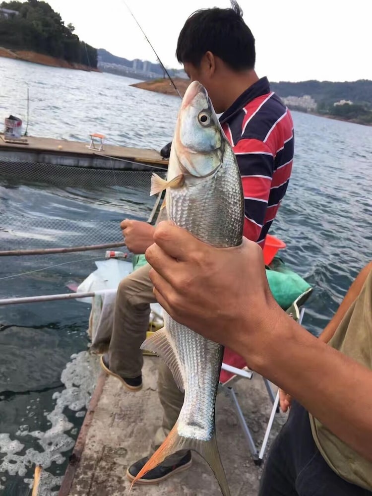 Fishman homestay