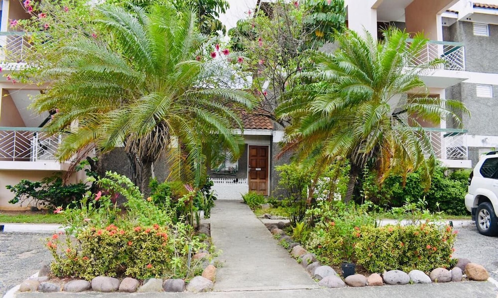 Hotel New Kingston Guest Apartment At Chelsea - Image 1