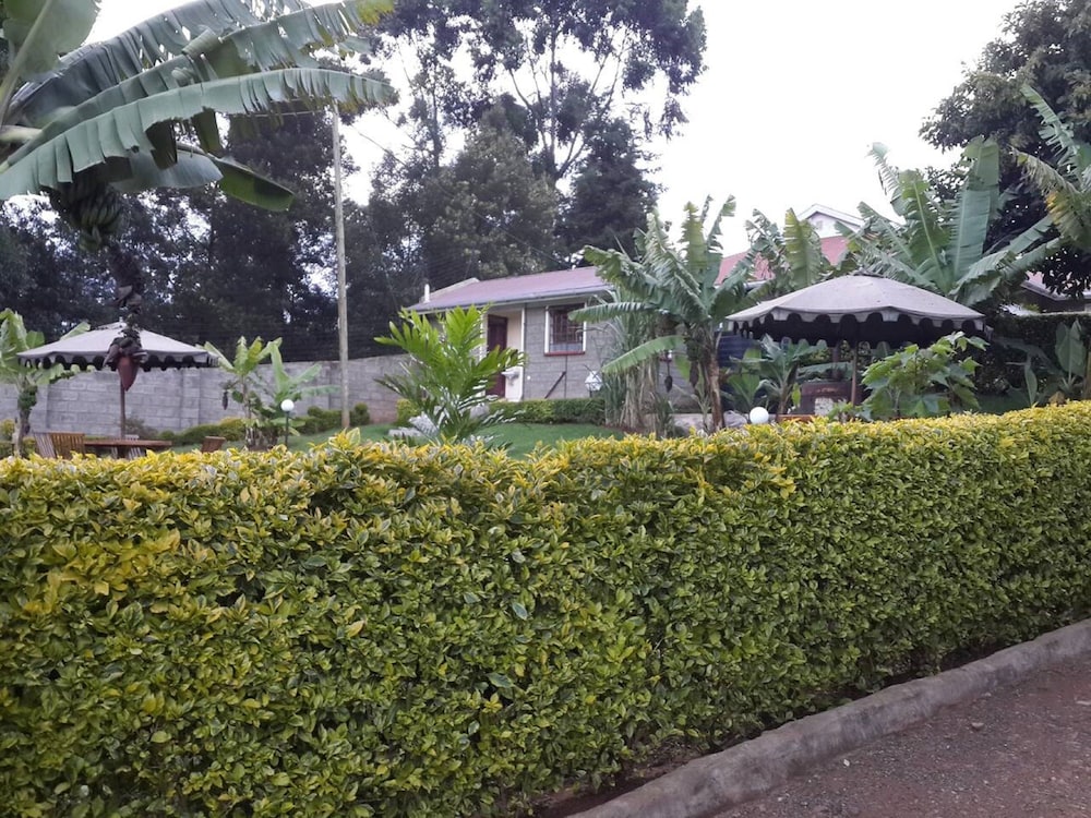 Regency Guest Homes view 2