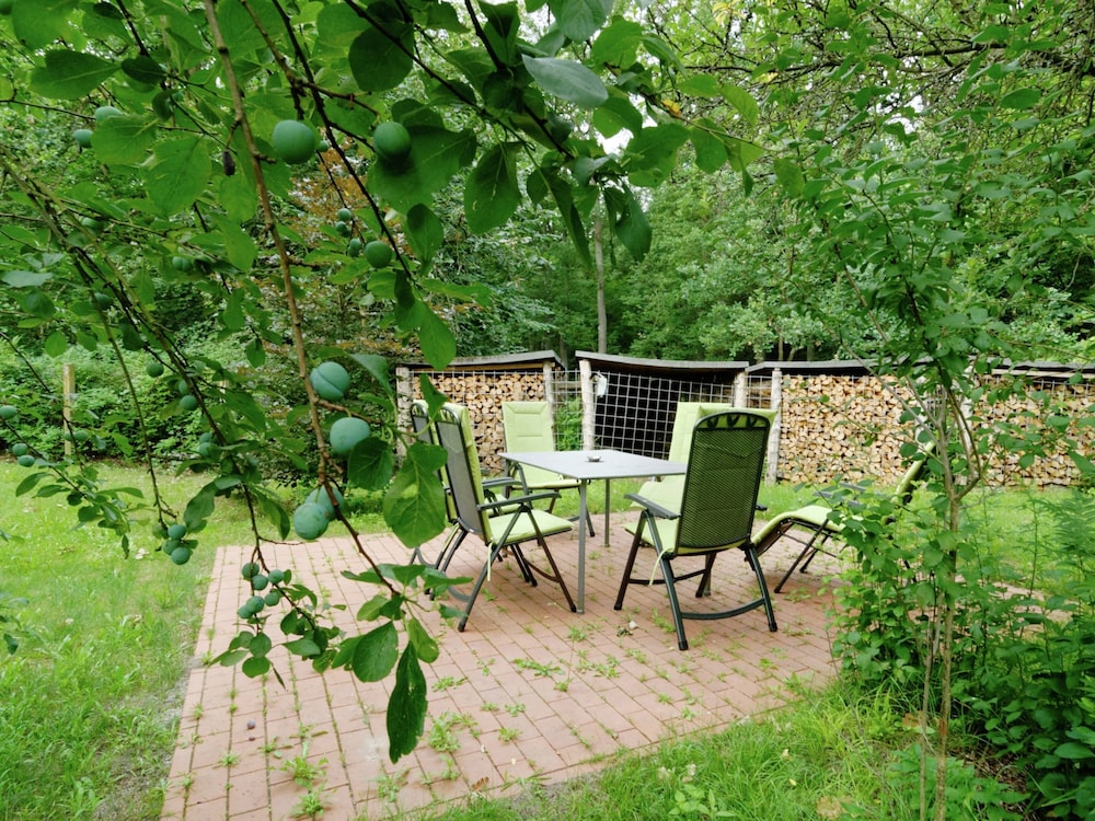 Flat in Furstenwald Near Berlin Forest view 5