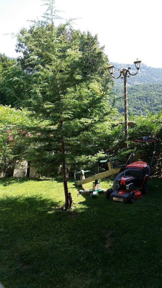 Photo 47