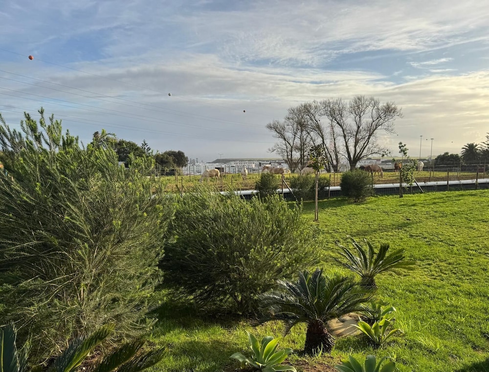 Lusitano Garden Villas