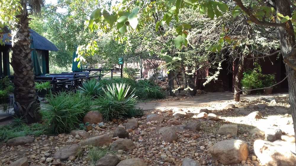 Photo 41