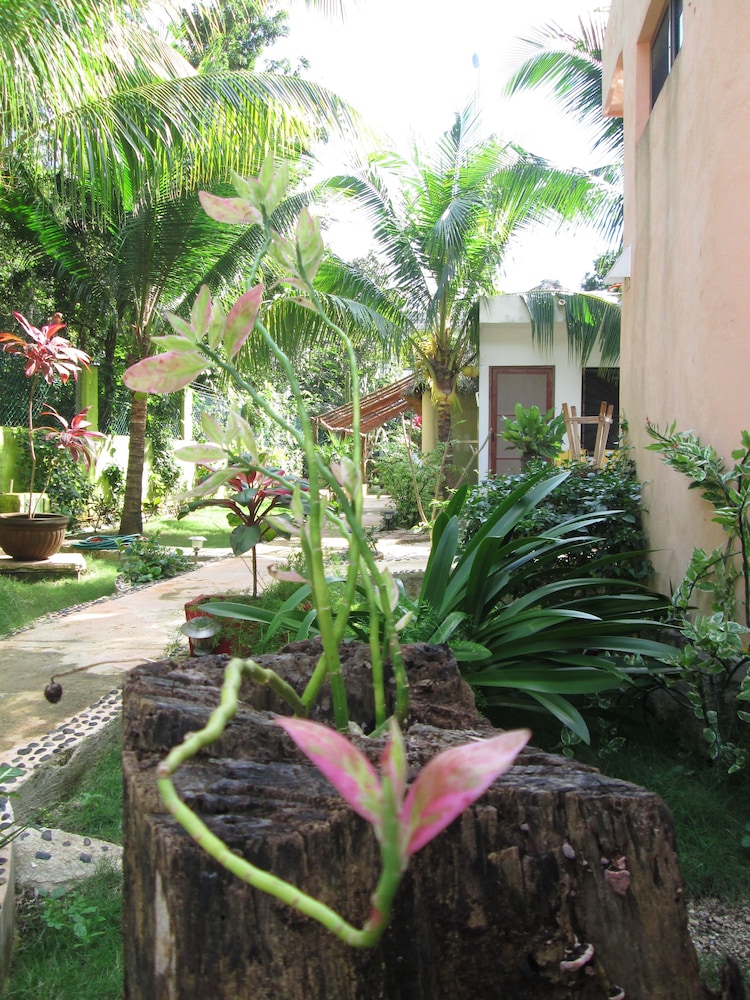 Villa Zena Liza Art Hotel